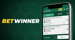 Comprehensive Guide to BetWinner Withdrawals -848783933 Comprehensive Guide to BetWinner Withdrawals -848783933